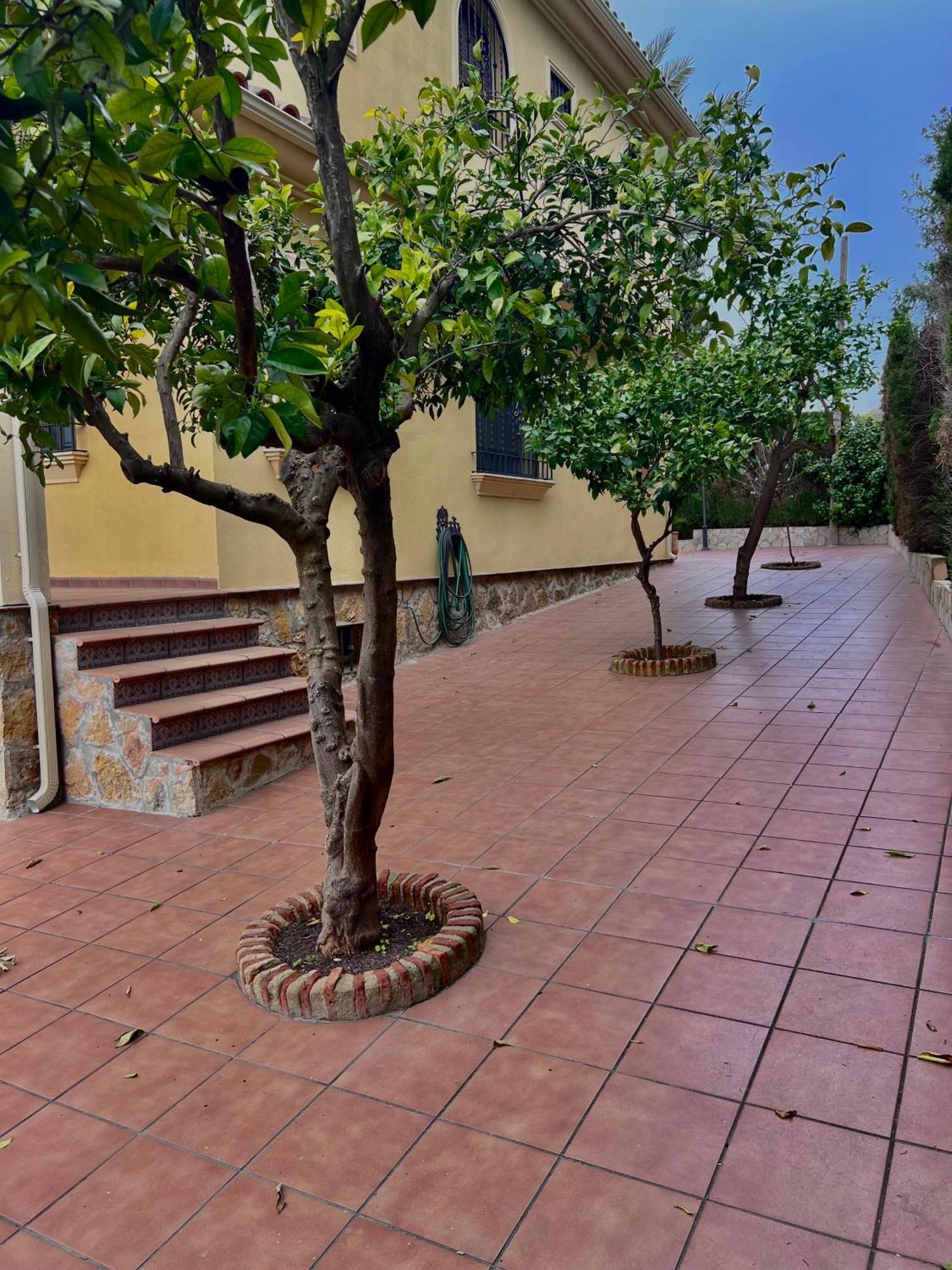 El Carmen Villa Kordoba Bagian luar foto